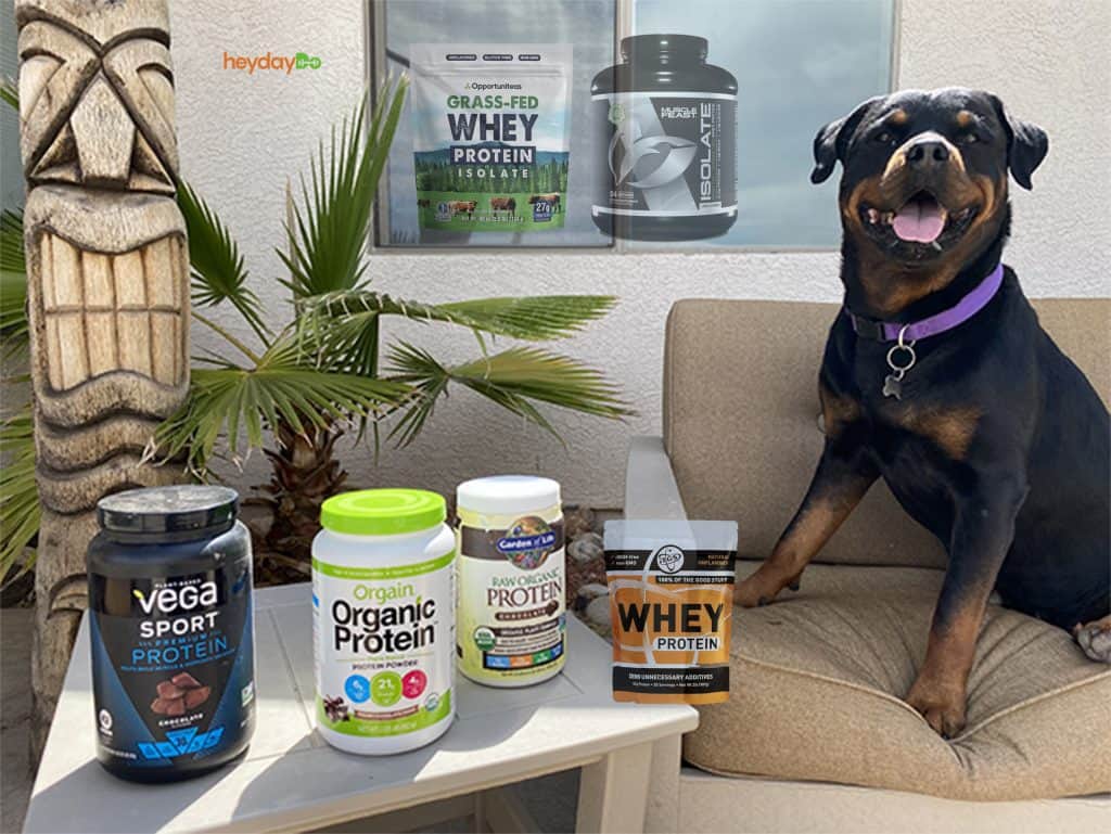 Rottweiler sitting with the best protein powders without artificial sweeteners packages