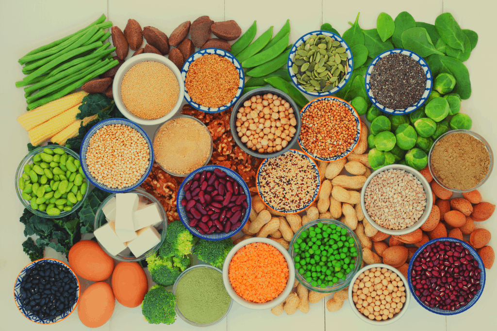 7 Best Lactose Free Protein Powder Options for the Lactose Intolerant Plant-based proteins used for lactose-free protein powders - heydayDo image