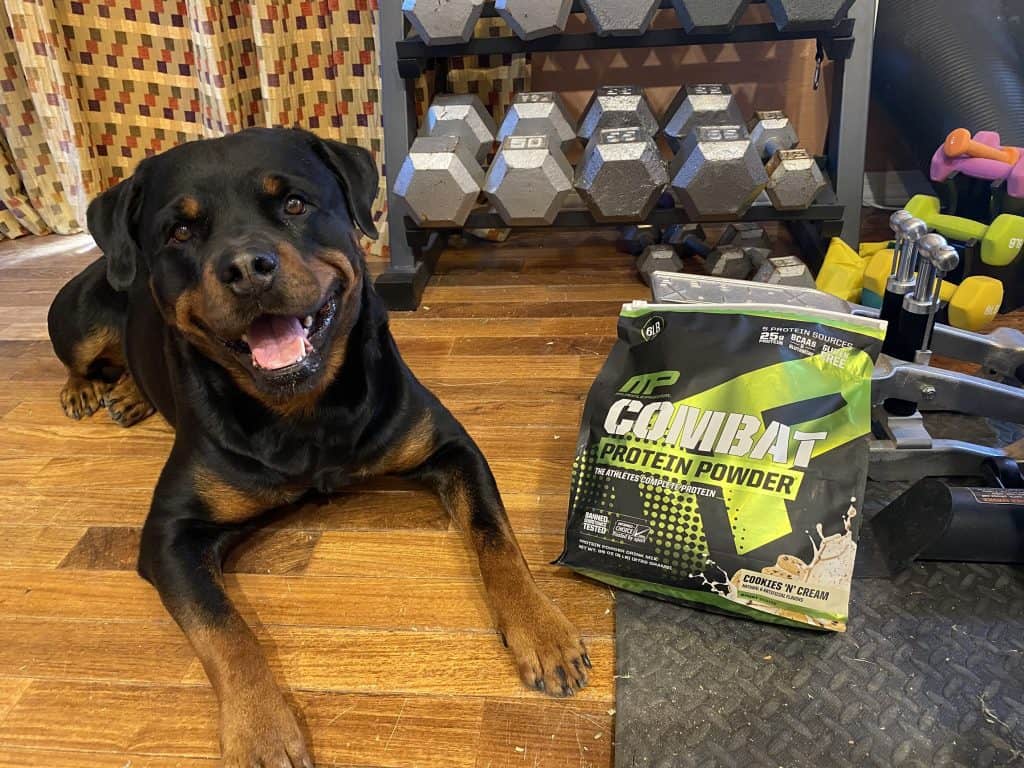 Lil Boji and MusclePharm Combat Protein - heydayDo featured image