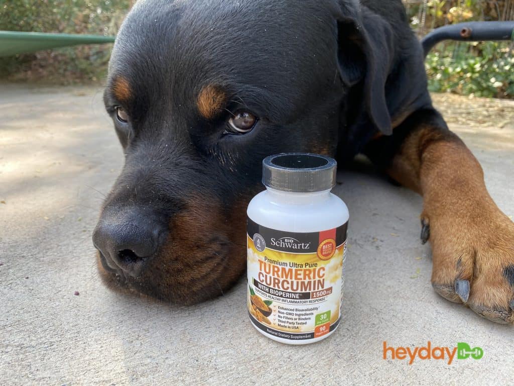 BioSchwartz Review Turmeric Curcumin supplement - heydayDo featured image