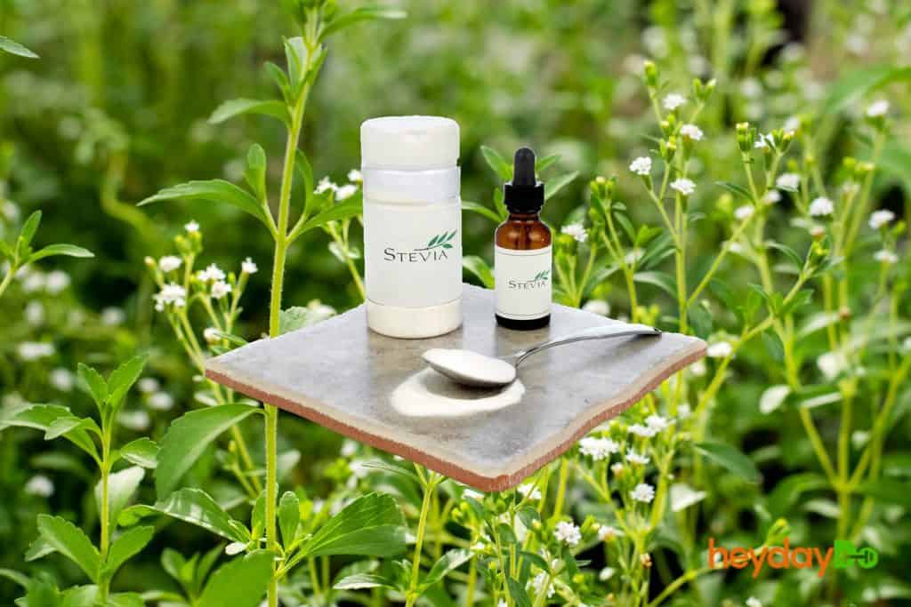Is Stevia Vegan? Is Stevia Natural? - heydayDo featured image