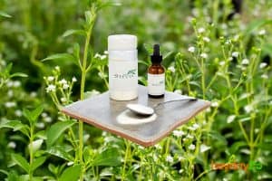 Is Stevia Vegan? Is Stevia Natural? - heydayDo featured image