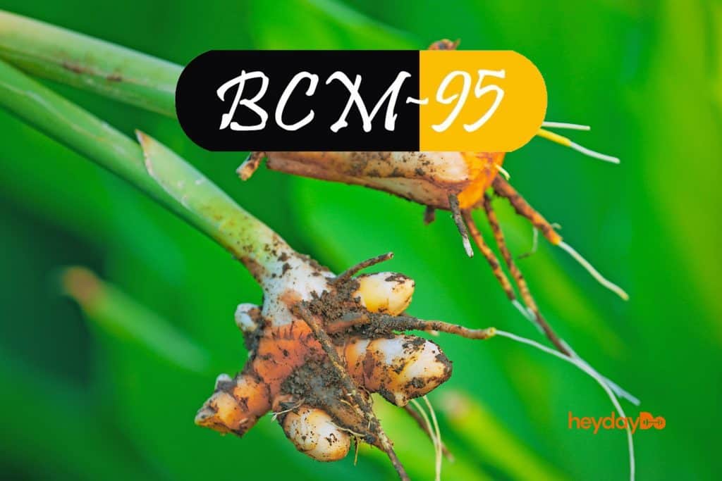 All About BCM-95 Curcumin And The Best Brands That Have It - heydayDo image
