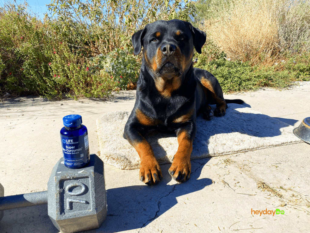 Life Extension Super Bio Curcumin Review heydayDo image