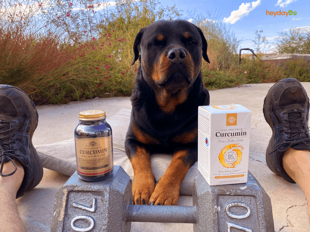 Solgar Full Spectrum Curcumin Review - heydayDo featured image