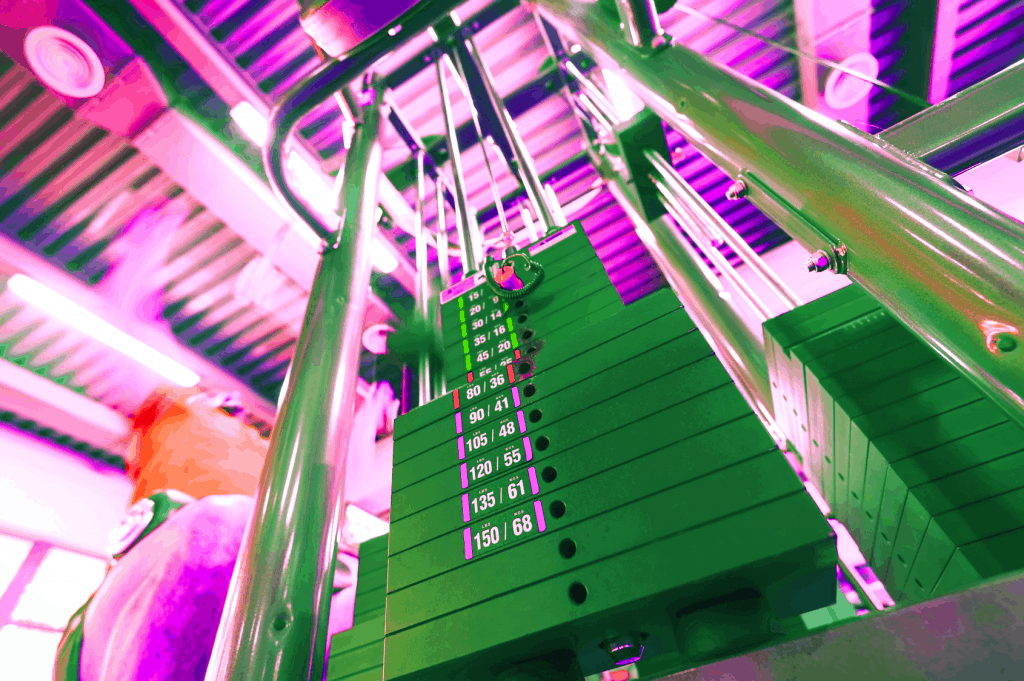 Compact home gym weight stack - heydayDo image