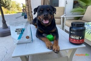 MyProtein vs Optimum Nutrition - heydayDo featured image