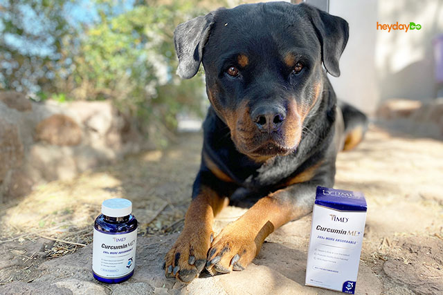 CurcuminMD Plus Review - heydayDo featured image