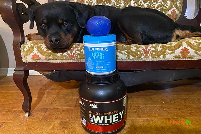 Collagen Protein vs Whey - heydayDo featured image