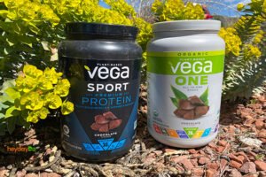 Vega Sport vs Vega One featured image
